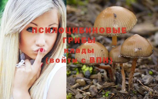 а пвп мука Абдулино