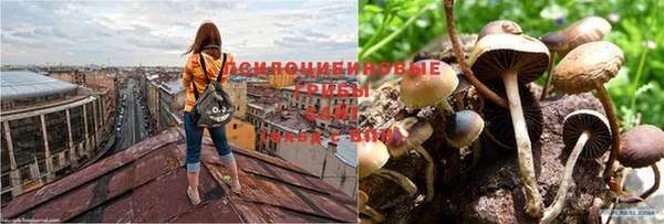 МДМА Абинск
