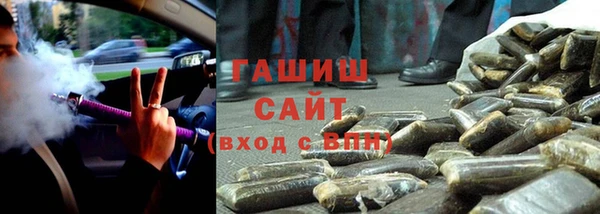 гашик Алексин
