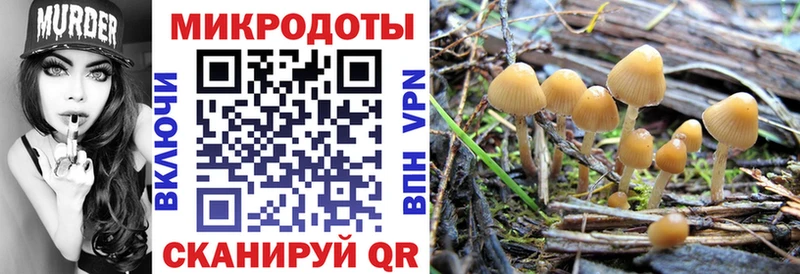 Галлюциногенные грибы мухоморы  закладки  Верхоянск 
